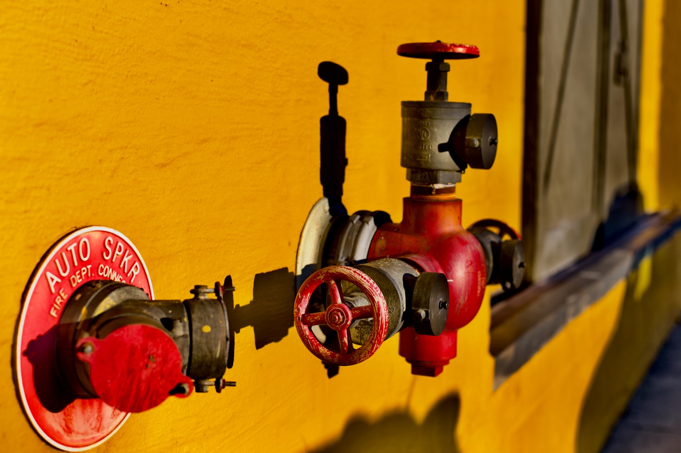 Fire sprinkler standpipe and fire department connection